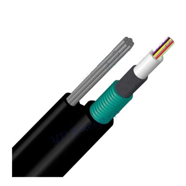 24 Core Waterproof Outdoor Armored Self-Supporting Optical Cable GYTC8S Fiber