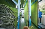 Synthetic Artificial Grass Outdoor Rug Office Field Flooring Landscaping