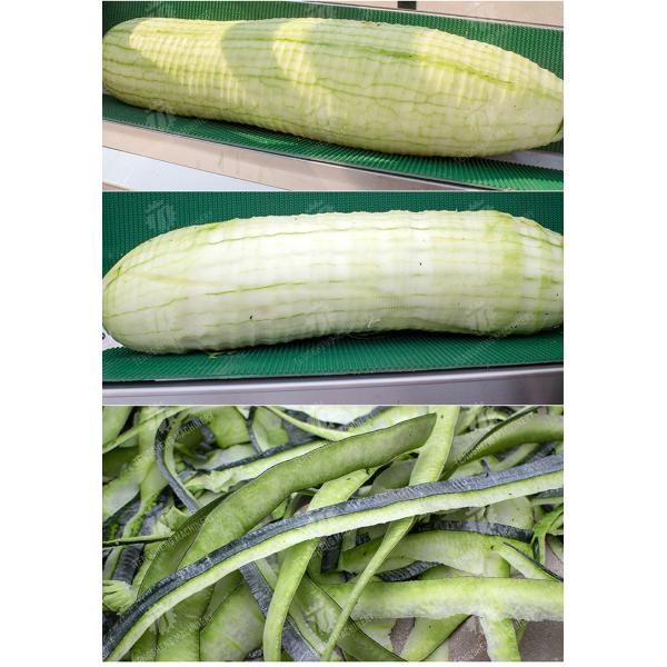 350KG 2.2KW Horizontal high efficiency stainless steel wax gourd peeling machine large output wax gourd peeling machine