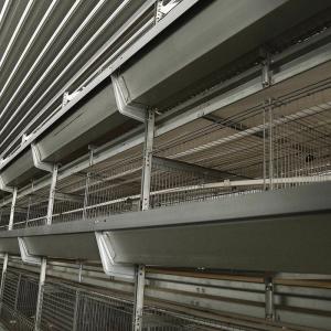 Wholesale Commercial Poultry Shed Layer Chicken Cage OEM ODM Complete Control from china suppliers