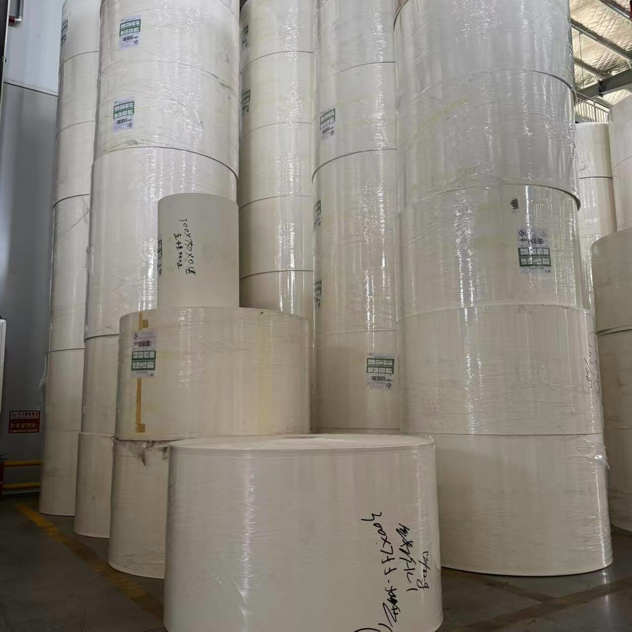 PE Coated greaseproof paper roll for beverage paper cups