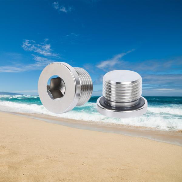 Zinc Coated Pipe Plug for Pipe Systems DIN906 Hexagon Socket Design Made of Stainless Steel and Titanium