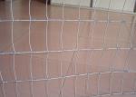 Hinge Joint Cattle Wire Fence High Strength For Protecting Farmland