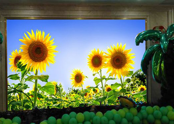 Small Pitch P1.25 600mm×337.5mm Indoor Full Color LED Display