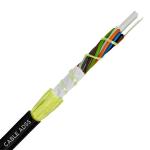 Supply Outdoor Aireal Single Mode Fiber Optic Cable 24 Core Fiber Optic Cable