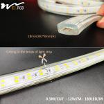 110V 220V LED Strip Light Outdoor Waterproof Dual Color White and Warm White