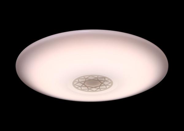 220V 56W Indoor Ceiling Light Fixtures Low Power Consumption No Blue Light