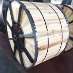 2 Core Low Volatge XLPE Insulated Electric Cable for Customer Specified