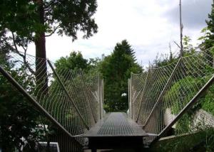 Wholesale 304 316 Suspended Bridge Stainless Steel Safety Netting With Rope Mesh 2.5mm from china suppliers