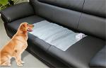 Indoor FLEXIBLE MAT Dog Training Aids Convenient Storage Dog Cat Training Mat