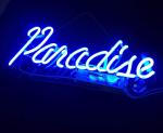 Neon Signs Blue Paradise Beer Bar Bedroom Neon Light Handmade Glass Neon Lights