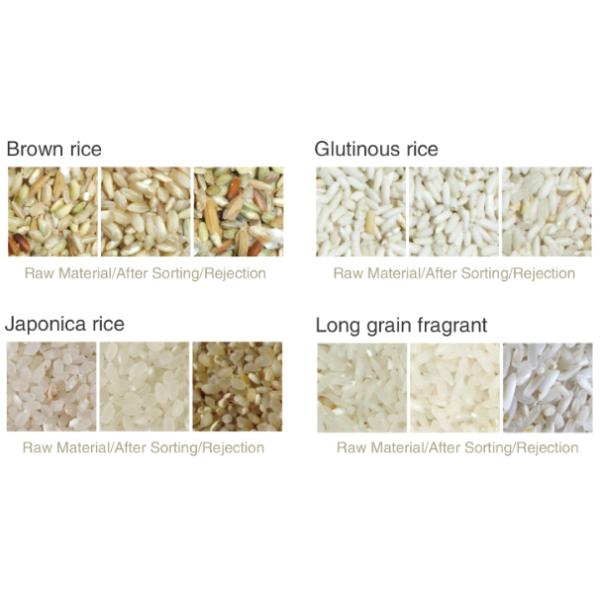 High End CCD Rice Colour Sorting Machine Big Capacity 220V Energy Saving