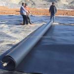 Onsite Inspection HDPE Geomembrane Pond Liner Membrane Waterproof Film Sheet 0