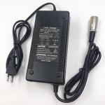 CE ROHS 12V 72V Li Ion Smart Charger Lifepo4 Lead Acid 10A 2.5A