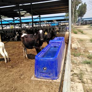Wholesale Durable 4m Livestock Water Tank 300L LLDPE Animal Water Trough from china suppliers