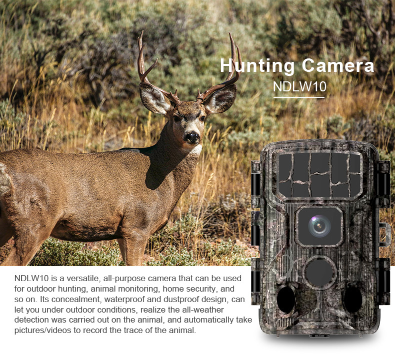 IP66 Bluetooth Night Vision Trail Camera , Wifi 46mp Game Camera Night Vision
