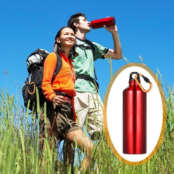 Aluminium D Shape Carabiner Clip for Outdoor Climbing Survival Keychain Carabiner