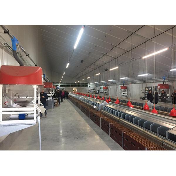 16 Holes Broiler Breeder Egg Nest Collection System 610mm Height