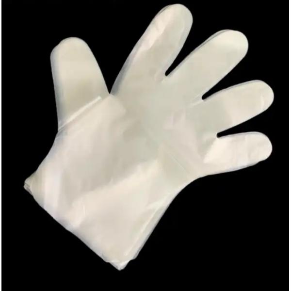 Food Grade Compostable Gloves Medium Thickness PE Material Biodegradable Disposable Tableware Package Certified Pla
