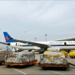 Shanghai China To United States Transportation Ddp Door To Door Cargo Delivery