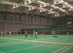 Prefabricated Modern Badminton Hall Steel Frame Structure Sport Hall