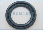 BABSL CFW 40412478 Skeleton Oil Seal NBR FKM Material High Pressure