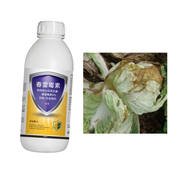 6% Kasugamycin SC Agricultural Bactericide Prevent Cure Soft Rot Chinese Cabbage