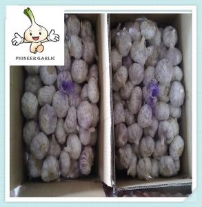 Wholesale Wholesale Garlic Snow White Fresh Garlic Best Supplier Natural Fresh Garlic 5.5CM from china suppliers