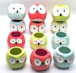 Succulents Plant Ceramic Animal Flower Pot for Garden or Home Decoration