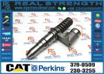 Fuel Injector 379-0509 0R-8619 386-1776 437-7547 8E-8836 392-0203 392-0204 392