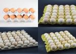 Reciprocating Type Egg Tray Production Line , Paper Pulp Molding Machine 20kw