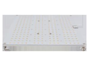 Wholesale 100W IP67 Led Grow Boards For Indoor Garden from china suppliers