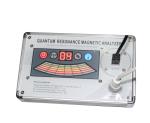 Quantum Bio-Electric Whole Health Analyzer Body And Skin Health Tester