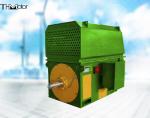 TDMK TM Large Synchronous Motor 10KV Coal Mill Motor CE