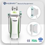 perfect cooling 5 handles cryolipolysis machine for sale/cryolipolysis shaping