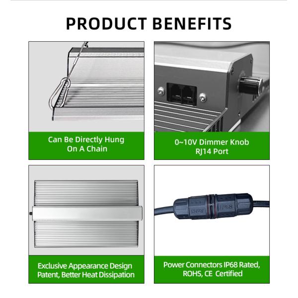 Full Spectrum Quantum Board Grow Light 100W 200W 300W For Grow Tent Seedling