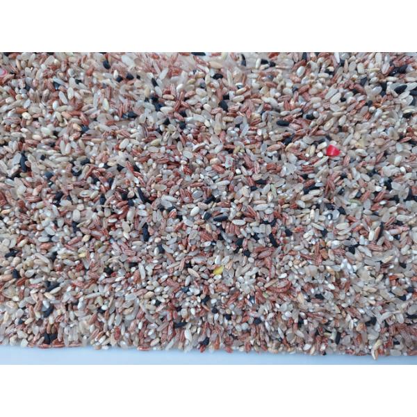 CCD Rice Color Sorter Machine RGB Background 2 Chutes AC220V / 50Hz