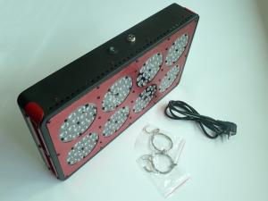 Wholesale 300W UV LED Panel Grow Lights Horticulture LED grow lighting kits for Professional Indoor from china suppliers