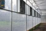 Agricultural Galvanized Steel Multi Span Greenhouse For Vegetable Cultivation