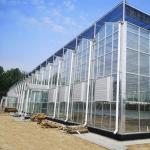 Reasonably Priced Glass Greenhouse Hydroponic System for Maximum Space