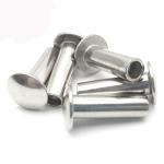Bright SUS304 / SUS316 Stainless Steel Flat Head Rivet GB871