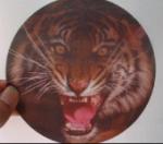 PLASTIC LENTICULAR 2 images 3 images flip effect lenticular printing from left