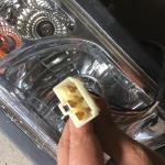 Original Lovol Parts Wheel Loader Front Combination Lamp 9F820-6202000