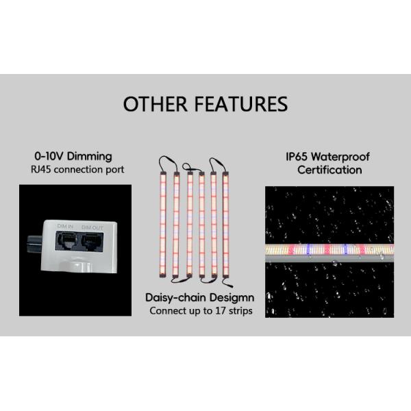 Professional Hydroponic Vertical Farm Full Spectrum 100 Watt 120W Inter Under Canopy Led Grow Light with Samsung Chips