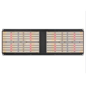 Wholesale Grow Tent 2x4 SAMSUNG Quantum Board LM301B LED Grow Light 240 Watt from china suppliers