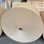 Greaseproof PE Coated Paper Roll Use For Juice Beverages 260-320gsm