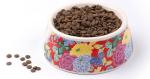 Portable Eco Friendly Dog Products Food Water Bowl Ceramic Drink Dispenser