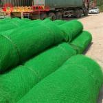 50m Normal Length CE/ISO9001/ISO14001 Certified 3d Geomat Plastic Mesh for