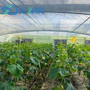 Wholesale 30-Day Return Fog Prevention System for Flower Production in Arched Roof Greenhouse from china suppliers