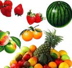 Automatic Stainless Steel Fruit Vegetable Processing Machine Electric Double
